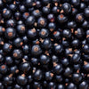 Blackcurrant